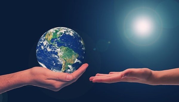 Comment les entreprises pionnières contribuent-elles au développement durable ?