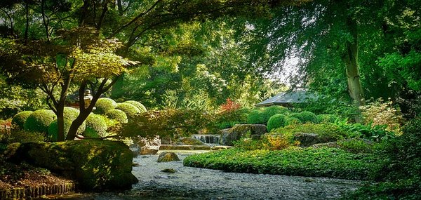 Découverte de l'écotourisme: Préserver la biodiversité tout en explorant la beauté de la nature