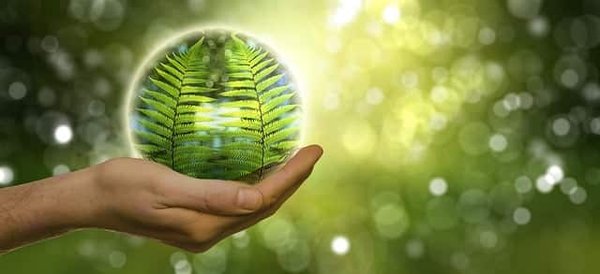 Les secrets d'un centre d'éducation à l'environnement : éveiller les consciences de manière ludique