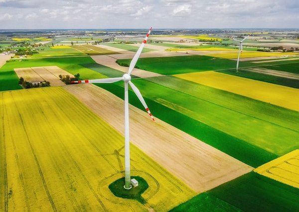 Plongée dans le marché de l'énergie renouvelable pour les particuliers : Tendances et conseils pour faire le bon choix