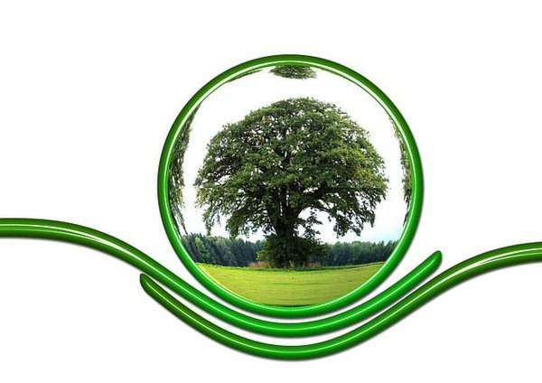 10 Gestes Simples pour Contribuer à la Protection de l'Environnement au Quotidien