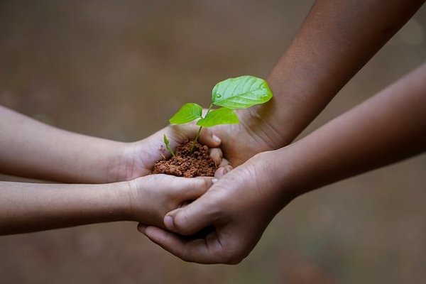 Solutions innovantes pour renforcer la protection de l'environnement dans nos espaces verts