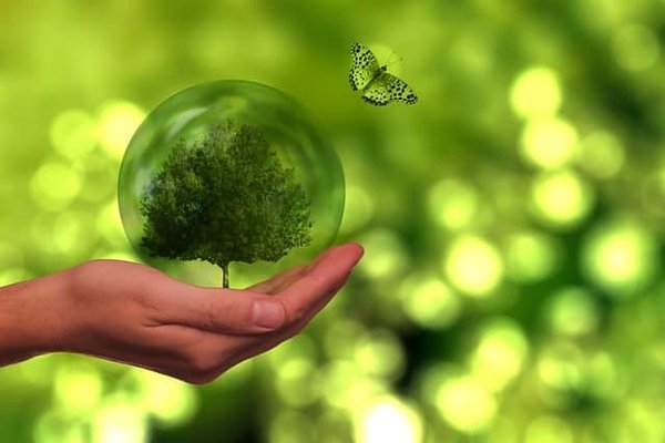 Le citoyen engagé: des actions simples pour contribuer à la protection de l'environnement