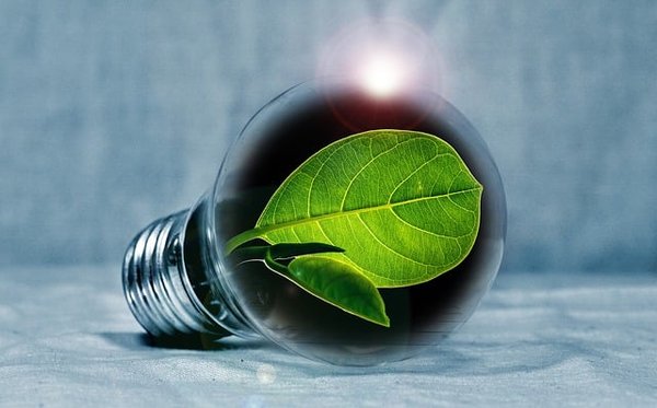 Découvrez le Symbole de l'Avenir : Solutions Éco-Innovatives pour une Planète Plus Verte