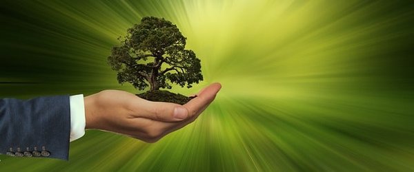 Guide pratique : Comment réussir la transition écologique dans les collectivités territoriales