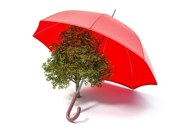 Comment le Contrat de Transition Écologique Peut-il Préserver la Biodiversité?